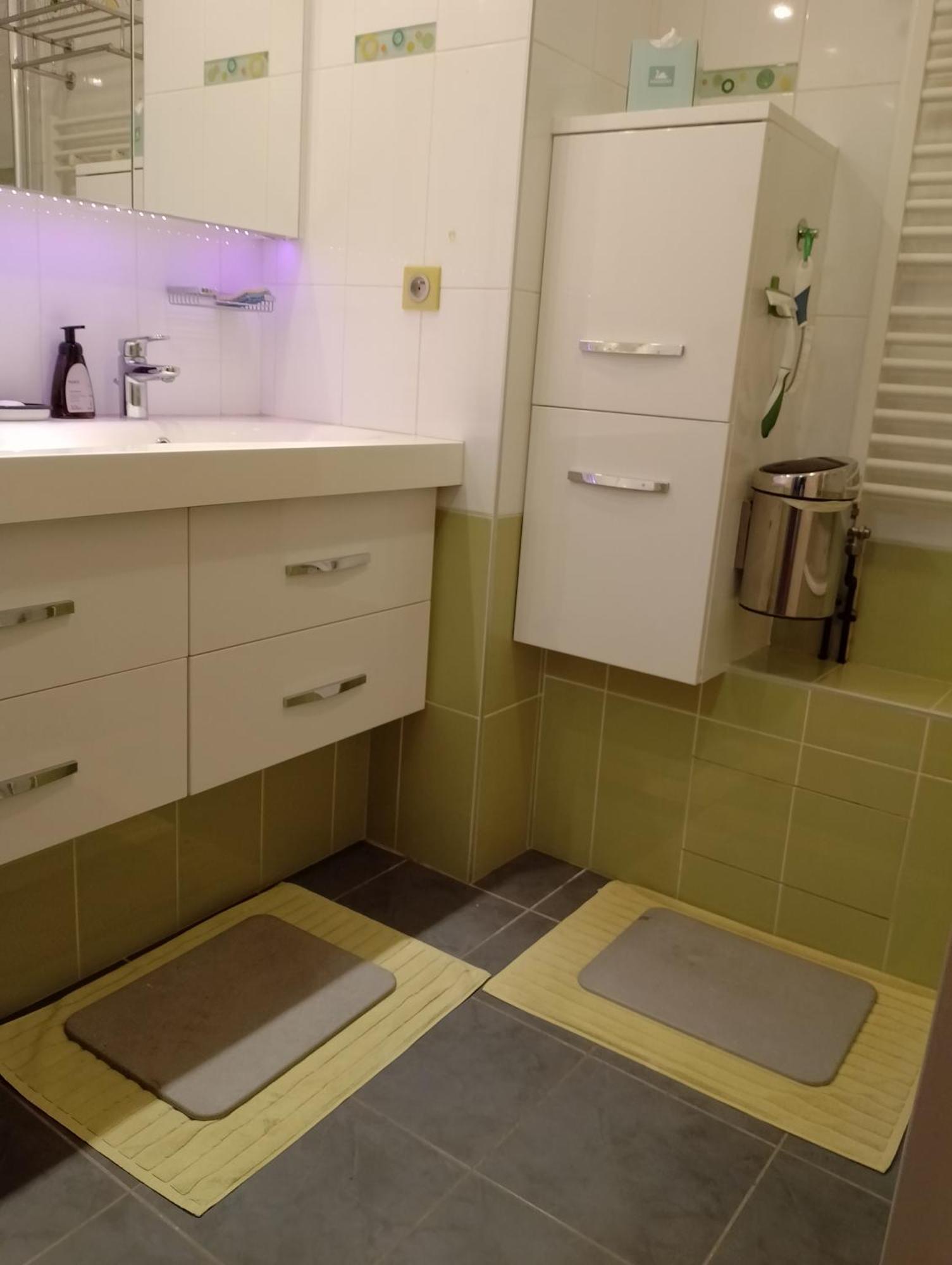 Appartement Residentiel Au Vert Et Au Frais Montigny-le-Bretonneux Ngoại thất bức ảnh